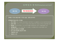 [화학공학] 단백질의 검정 및 정량-6