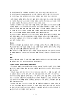 싱가포르의 교육정책-3
