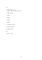 싱가포르의 교육정책-10