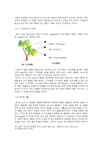 [교육사회] 구조주의-5