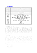 싱가포르 교육 레포트-3
