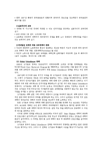 싱가포르 교육 레포트-10
