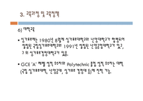 싱가포르 교육 레포트-16