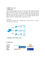 [경영] SNS를 활용한 마케팅 활용사례 분석-2