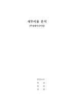 재무비율분석- 주성엔지니어링-1