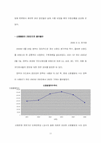 신용불량자의 현황과 문제점 이에 따른 대책-14