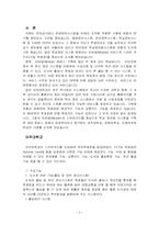 대학교 정보화시스템 구축에 관하여-2