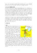 다원주의 사회에서 민주적 통치와 화해전략-13