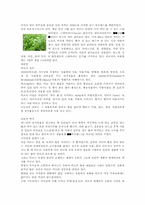 [견학]허브의 종류와 이용-상수 허브랜드를 다녀와서-2