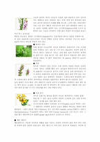 [견학]허브의 종류와 이용-상수 허브랜드를 다녀와서-7
