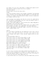 [언어문화] 대중가요에 나타난 한국인의 심리 가치관-14