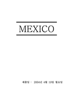 멕시코 음식문화-1