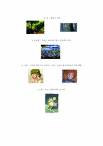 [영상문화] 일본 애니메이션에 대하여-3