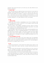 [한류문화] 한류열풍에 대해서-5