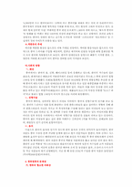 [한류문화] 한류열풍에 대해서-8