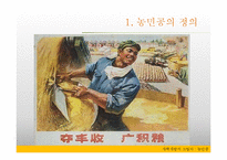 [중국정치론] 농민공-6