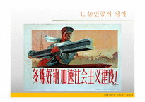 [중국정치론] 농민공-7