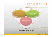 [중국정치론] 농민공-17