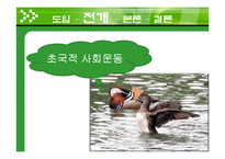 4대강 사업 반대운동의 초국적 이슈화-9