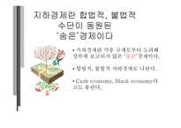 지하경제의 문제점, 해결방안-3