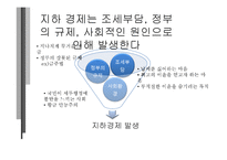 지하경제의 문제점, 해결방안-4