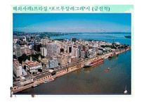[지방재정론] 주민참여제도와 주민참여예산제의 해외사례-4