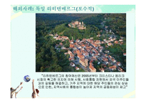 [지방재정론] 주민참여제도와 주민참여예산제의 해외사례-7