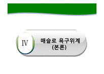 [소비자 심리] 데이마케팅에 숨겨진 소비자심리-19