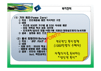 [비교정치] 룰라집권기 브라질의 국가모델 형성과 평가 -아이디어, 이익 제도를 중심으로-18