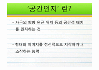 [발달심리학] 공간 지각, 인지 능력 의 성차 찬성과 반대 연구들-7