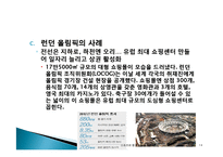 스포츠 광고 전략과 그린마케팅-14