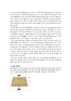 스모 레포트-2