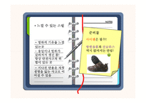 [세계여행] 트레킹-8