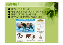 바이오 장기의 현주소-13
