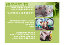 바이오 장기의 현주소-17