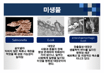 [식품위생학] 손 위생에 대한 식중독 원인균 실태조사-9