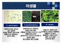 [식품위생학] 손 위생에 대한 식중독 원인균 실태조사-10