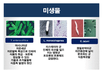 [식품위생학] 손 위생에 대한 식중독 원인균 실태조사-11