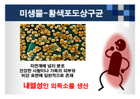 [식품위생학] 손 위생에 대한 식중독 원인균 실태조사-12