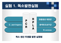 [식품위생학] 손 위생에 대한 식중독 원인균 실태조사-13