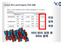 [식품위생학] 손 위생에 대한 식중독 원인균 실태조사-16