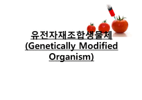 [생명윤리학] 유전자재조합생물체(GMO, Genetically Modified Organism)-2