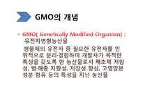 [생명윤리학] 유전자재조합생물체(GMO, Genetically Modified Organism)-4