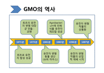 [생명윤리학] 유전자재조합생물체(GMO, Genetically Modified Organism)-5