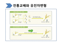 [생명윤리학] 유전자재조합생물체(GMO, Genetically Modified Organism)-7