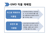 [생명윤리학] 유전자재조합생물체(GMO, Genetically Modified Organism)-8