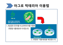 [생명윤리학] 유전자재조합생물체(GMO, Genetically Modified Organism)-9