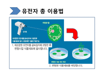 [생명윤리학] 유전자재조합생물체(GMO, Genetically Modified Organism)-10