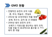 [생명윤리학] 유전자재조합생물체(GMO, Genetically Modified Organism)-12
