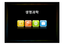 [생명과학] 뇌와 뇌질환-1